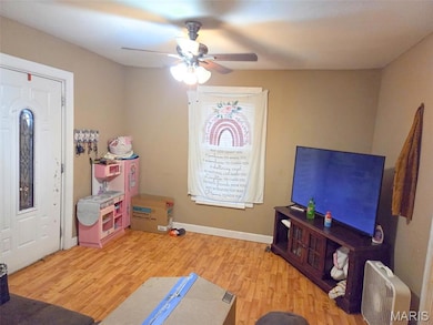 735 Virginia Mines Rd, Saint Clair, MO 63077 - photo 4