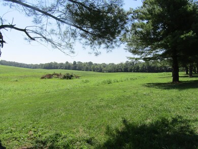 1095 Hwy 33 S unit B, Harrodsburg, KY 40330 - photo 3