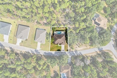 11 Heuchera Ct E, Homosassa, FL 34446 - photo 5