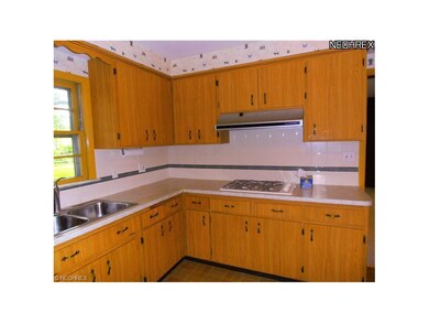 Tile backsplash - double bowl stainless steel sink