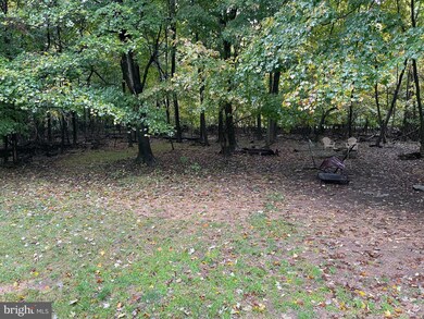 6432 Shaw Rd, Keyser, WV 26726 - photo 4