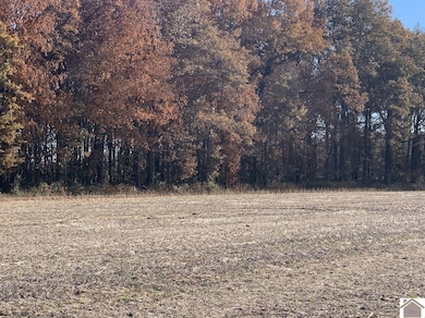 000 Crawford Lake Rd, Kevil, KY 42053 - photo 7