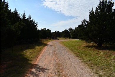 View of road with a forest view