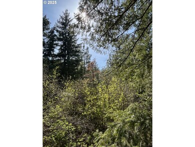 0 Pothole Rd unit 781986575, Goldendale, WA 98620 - photo 2