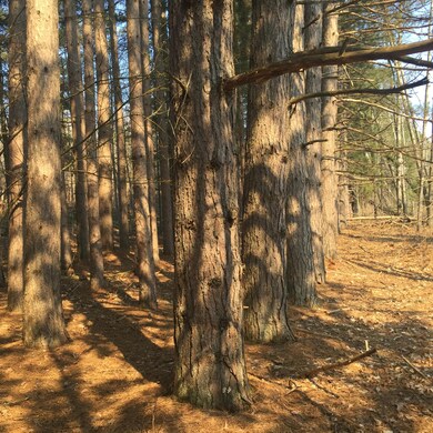 RED PINES