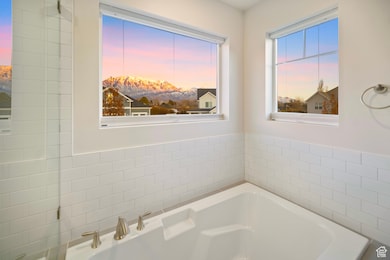 Full bath with a bath and a mountain view