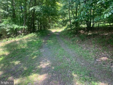 296 High Mountain View Rd, Romney, WV 26757 - photo 6