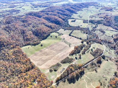 5360 Old Snapps Ferry Rd, Limestone, TN 37681 - photo 5