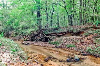 0 Old Zebulon Rd unit 25091896, Forsyth, GA 31029 - photo 2