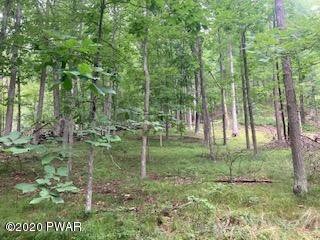 Lots 24,25 Blossom Rd, Lackawaxen Township, PA 18435 - photo 3