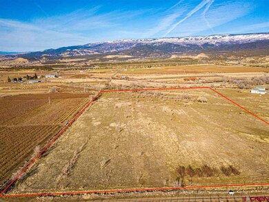 TBD NW Sage Ave, Cedaredge, CO 81413 - photo 7