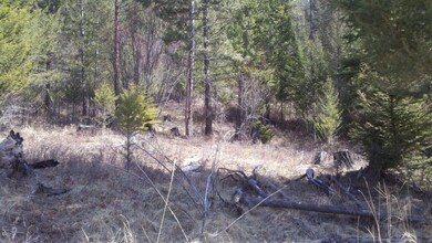 1004 Spring Hill Rd, Kila, MT 59920 - photo 3