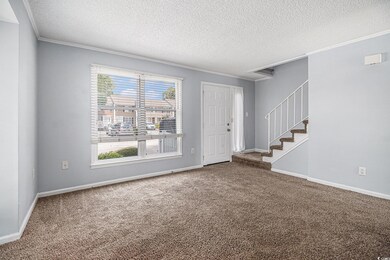 Entryway with carpet flooring, ornamental molding, a textured ceiling, stairway, and baseboards