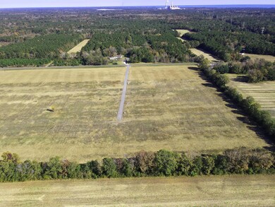 420 Sage Ln, Cross, SC 29436 - photo 4