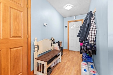 1114 E Station Rd, Sheridan, MI 48884 - photo 4