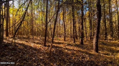 0 N Carolina 903, Littleton, NC 27850 - photo 5