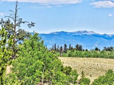 81 Pistol Way, Jefferson, CO 80456 - photo 3