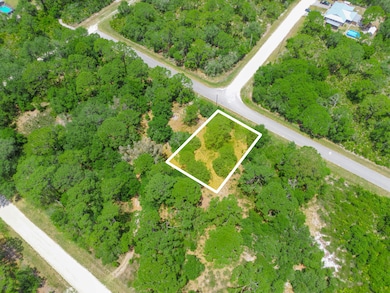 1210 Archie Summers Rd, Placid Lakes, FL 33852 - photo 3