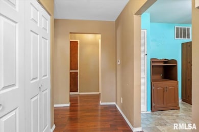 316 S Curtis St, Edinburg, IL 62531 - photo 4