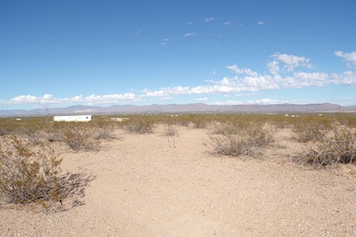 3192 S Amethyst Rd, Golden Valley, AZ 86413 - photo 4