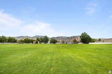 View from the front yard