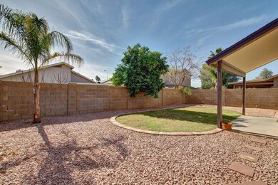 Back yard