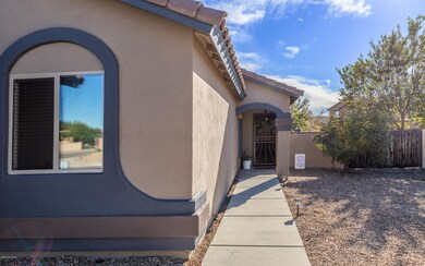 Calle Franja Verde-13