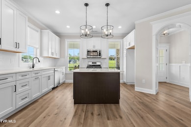 188 Vines Dr, Jonesborough, TN 37659 - photo 3