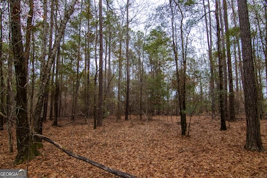 0 Salem Rd unit 10453687, Pine Mountain, GA 31822 - photo 3