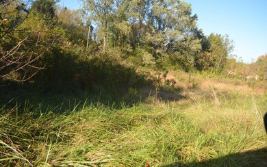 Additional View