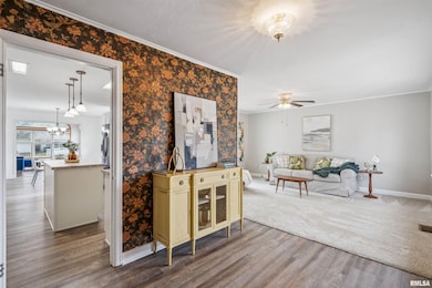 712 S Spring St, Geneseo, IL 61254 - photo 3