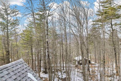 15 Alpstrausse, Intervale, NH 03845 - photo 6