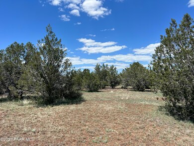 230 Camp Rd, Ash Fork, AZ 86320 - photo 4