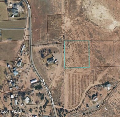 000 S Bourdon Ranch, Taylor, AZ 85939 - photo 6