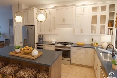 705 Rhode Island St unit F, Lawrence, KS 66044 - photo 6