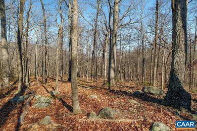 Lot 2 Handley Way unit 2, Afton, VA 22920 - photo 6