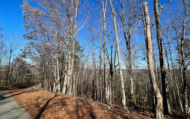 1089 Mayfield Ln NE, Ranger, GA 30734 - photo 4