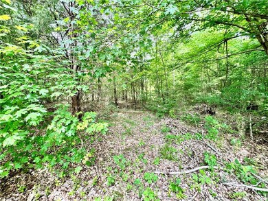 3834 Old Lexington Rd, Asheboro, NC 27205 - photo 7