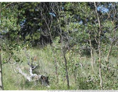 825 Osprey Rd, Como, CO 80432 - photo 3