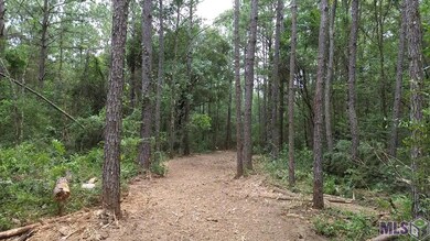 Tract C Whiskey Ln unit C, Tickfaw, LA 70466 - photo 3