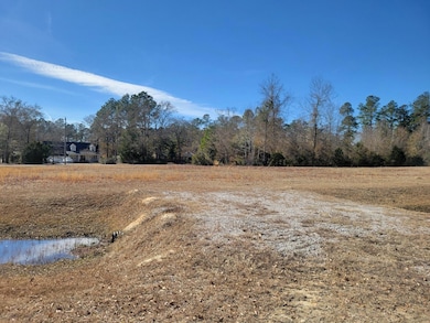 00 Academy Rd, Walterboro, SC 29488 - photo 5