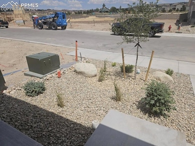 Front xeriscaped yard