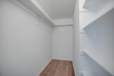 Spacious closet featuring light hardwood / wood-st