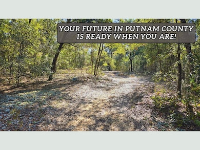 327 Michigan Dr, Hawthorne, FL 32640 - photo 7