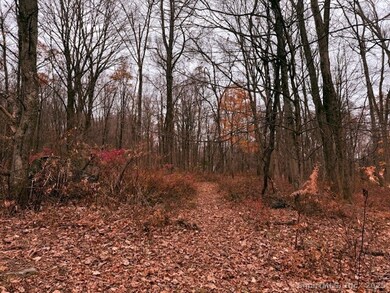 72D Walnut St, Seymour, CT 06483 - photo 4