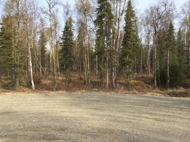 South East Corner of Property