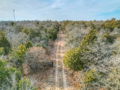 Bird's eye view featuring a wooded view