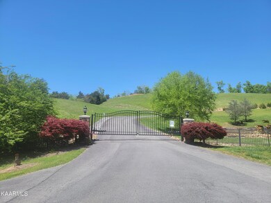 Emerald Pointe Gate