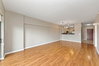 The Residences at Seven Bridges unit 510, Woodridge, IL 60517 - photo 4