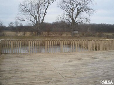 27507 E 1350th St, Geneseo, IL 61254 - photo 6